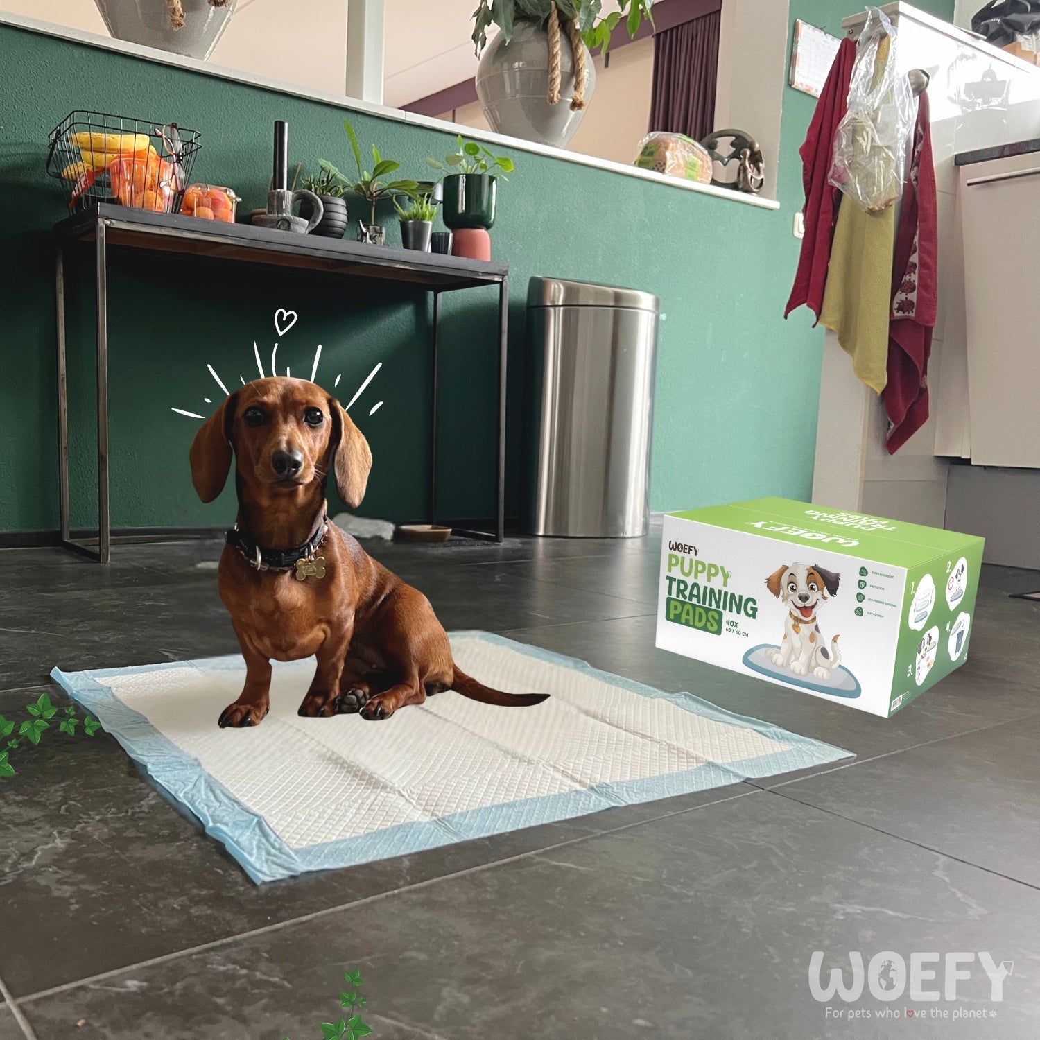 Hoe maak ik mijn puppy zindelijk?