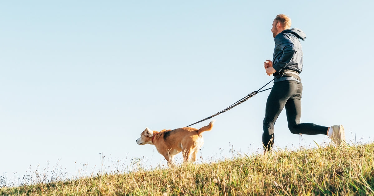 Hardlopen met je hond: zo pakken jullie het samen aan