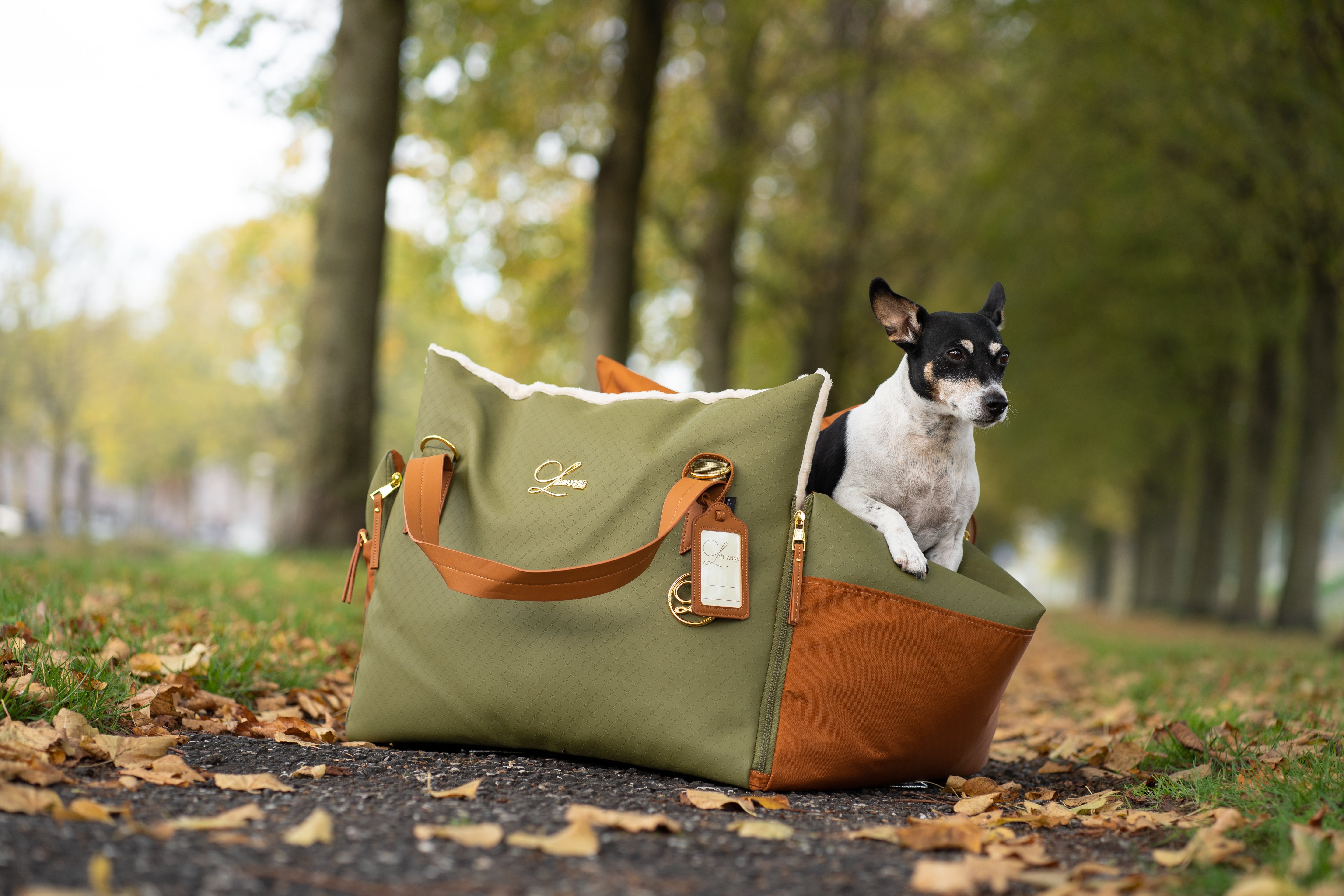 Reizen Heruitgevonden: 3-in-1 Luxe Hondenautostoel van L’élianne®