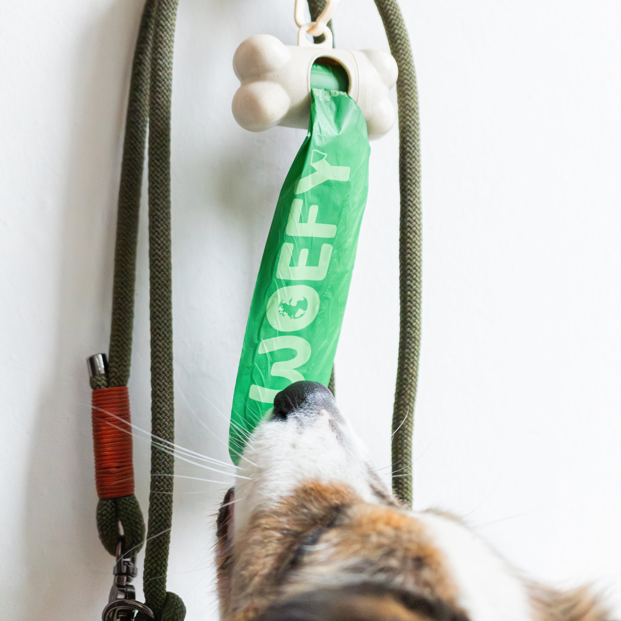 voorbeeld poepzakjes met een hond