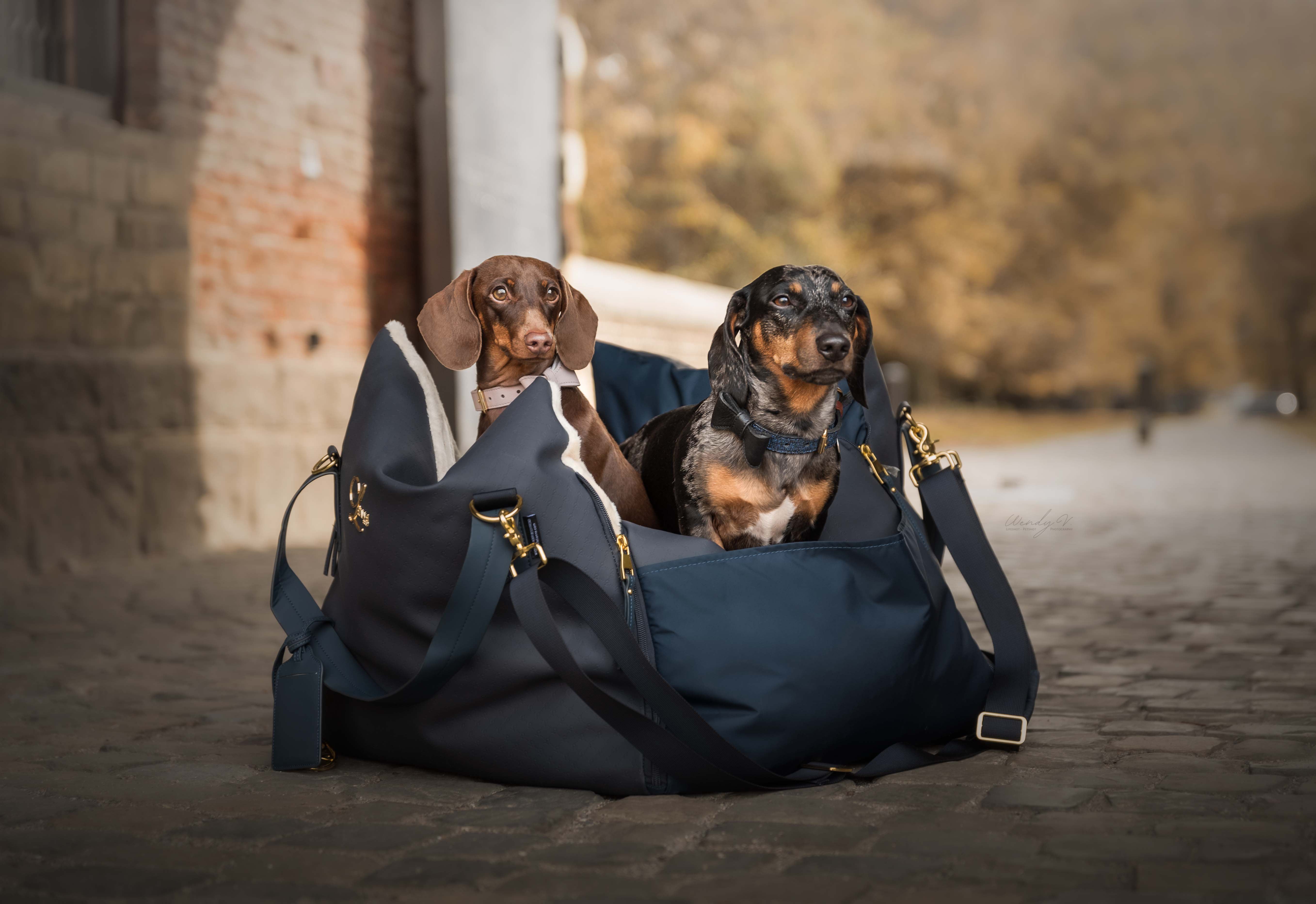 Designer Luxury Dog Car Seat | Navy Blue