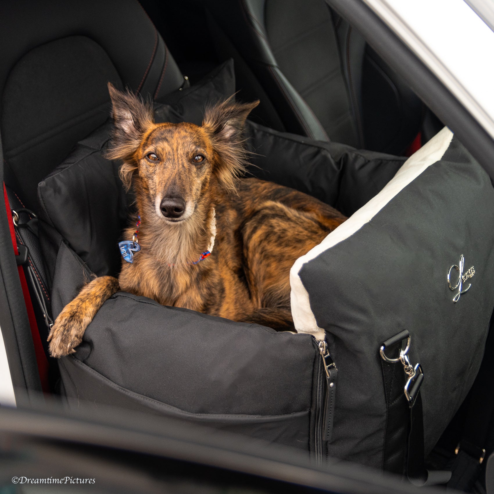 Designer Luxury Sportieve Honden Autostoel L