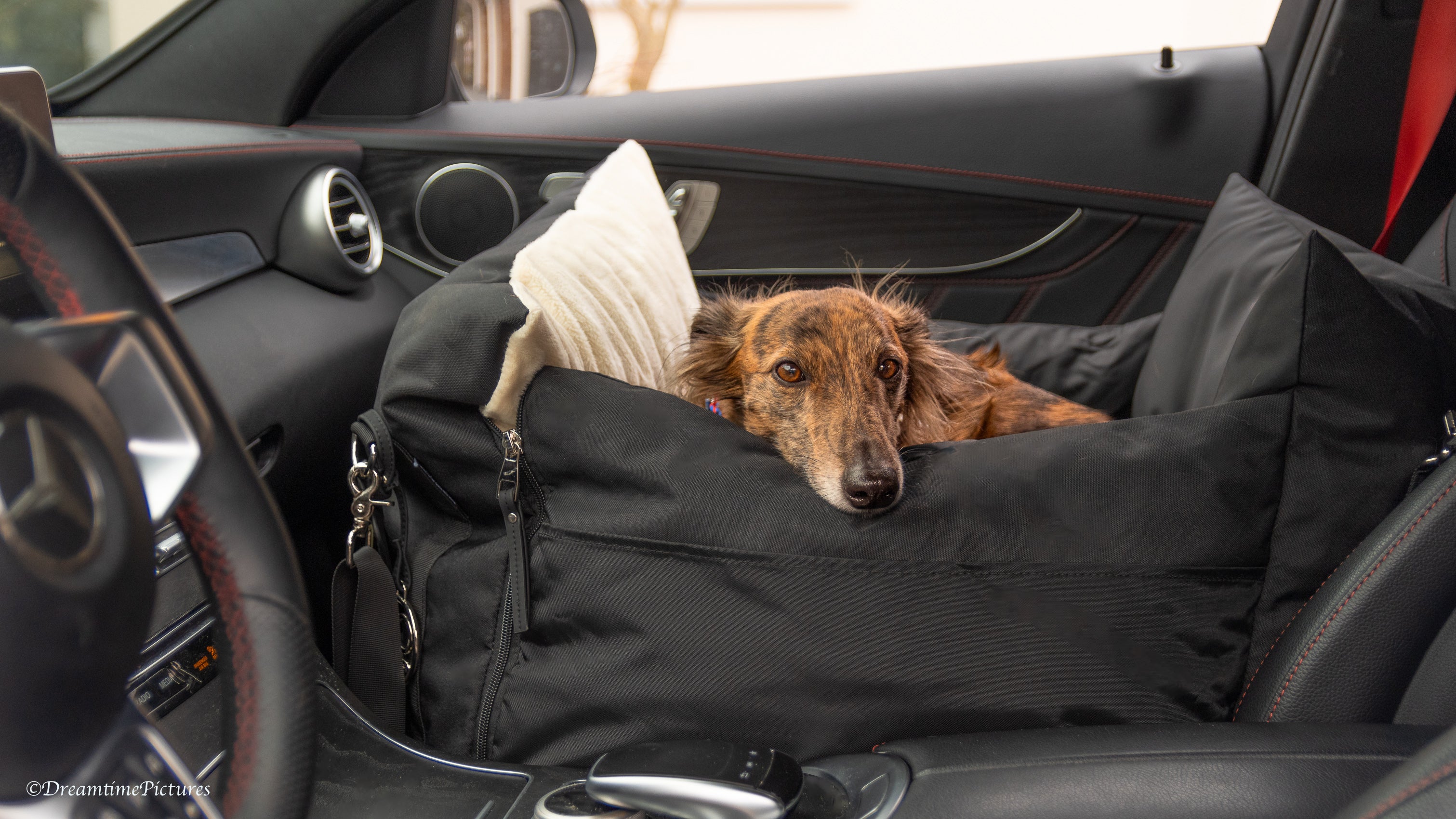 Designer Luxury Sportieve Honden Autostoel L