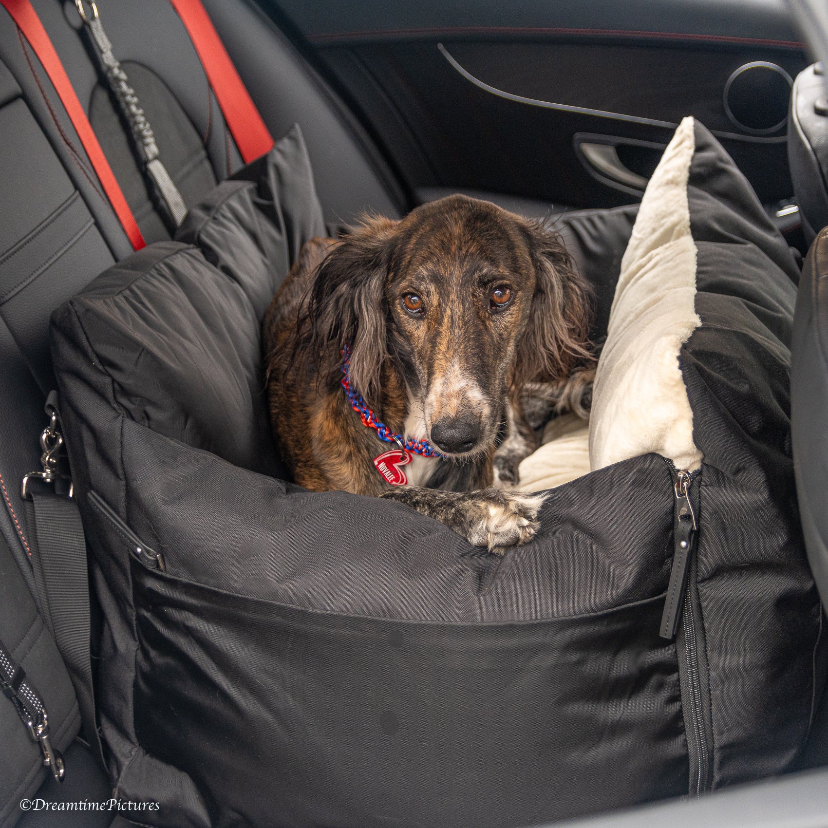 Designer Luxury Sportieve Honden Autostoel L