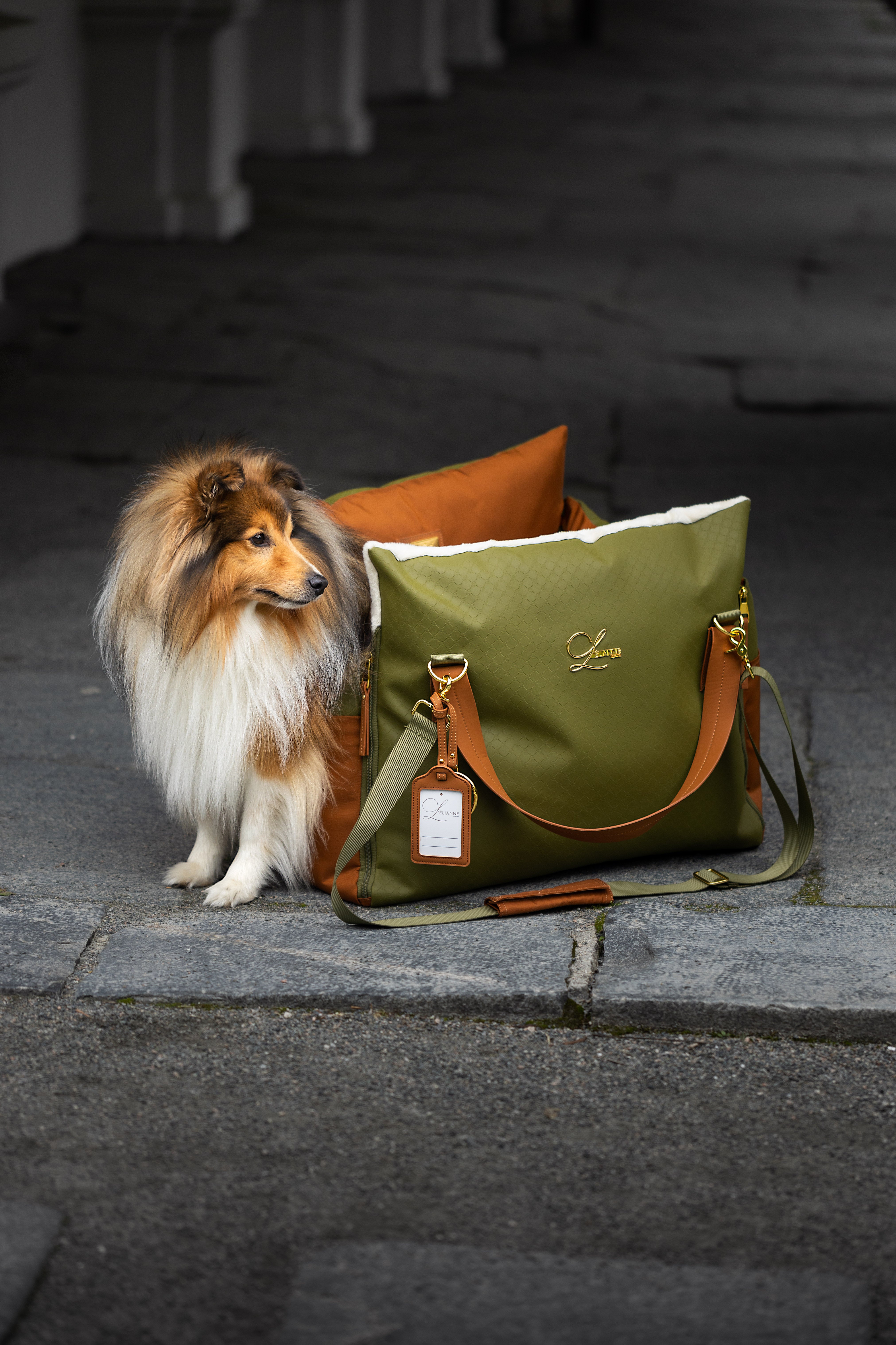 Designer Luxury Dog Car Seat | Olive Green
