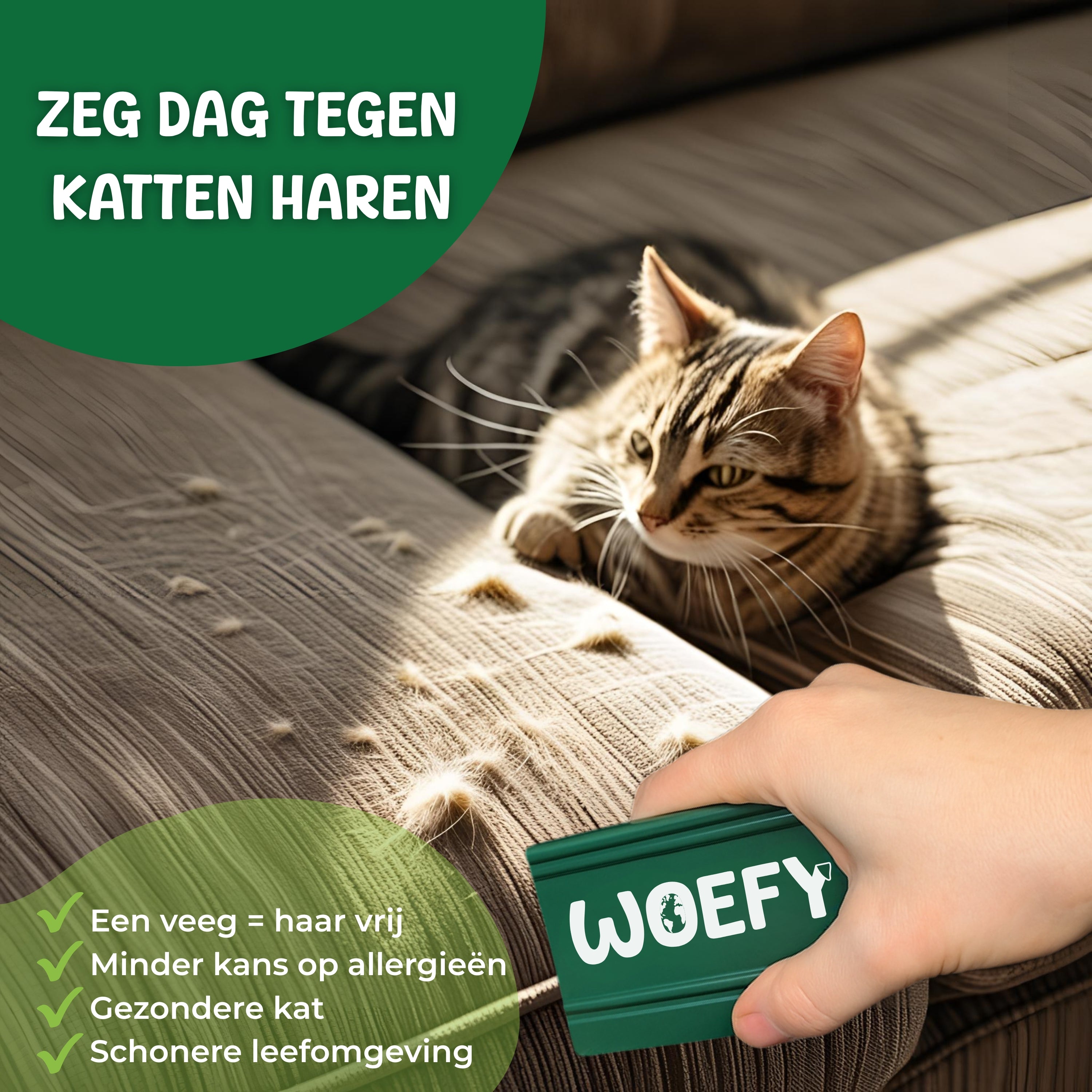 Woefy Magic Hair Brush