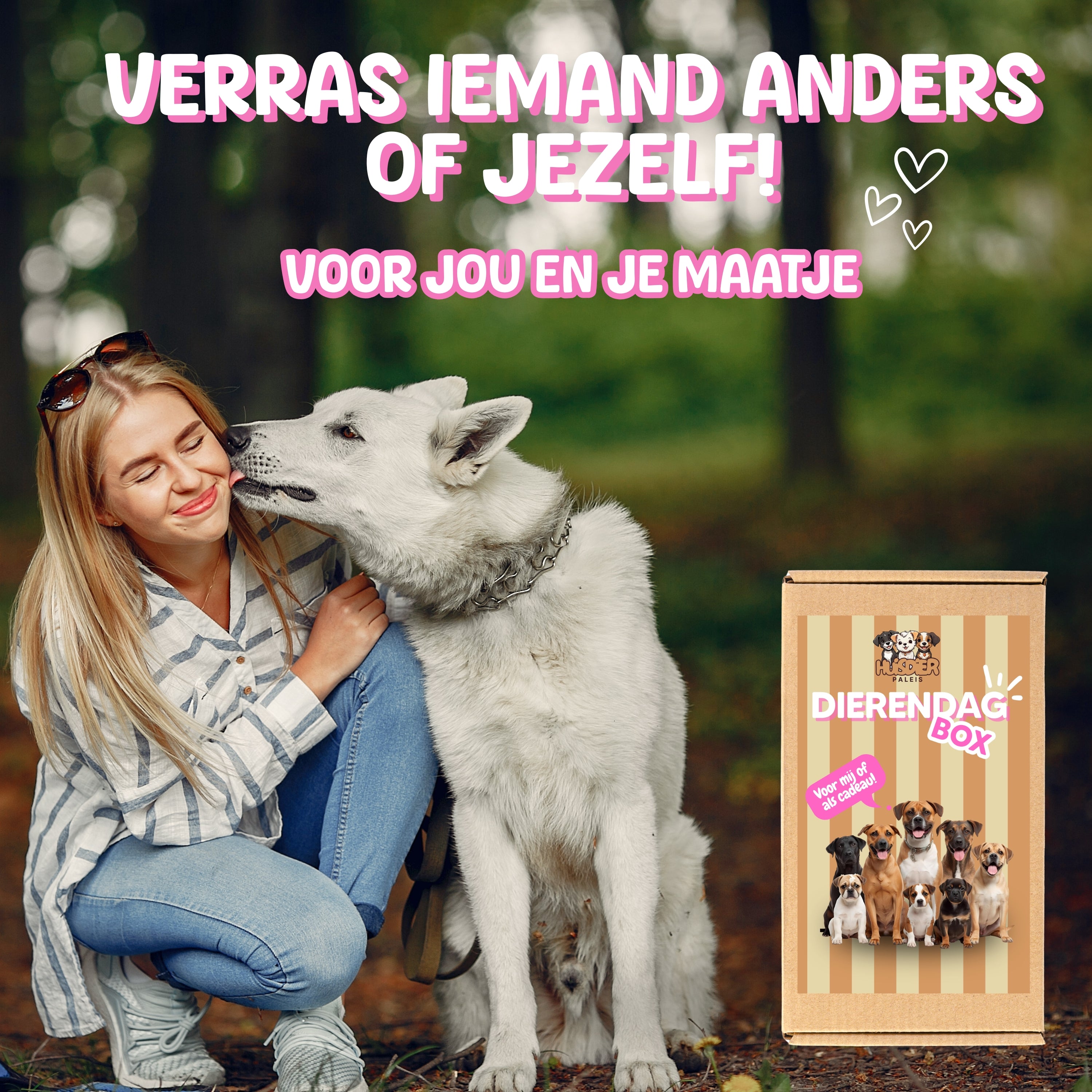DIERENDAG HONDEN BOX