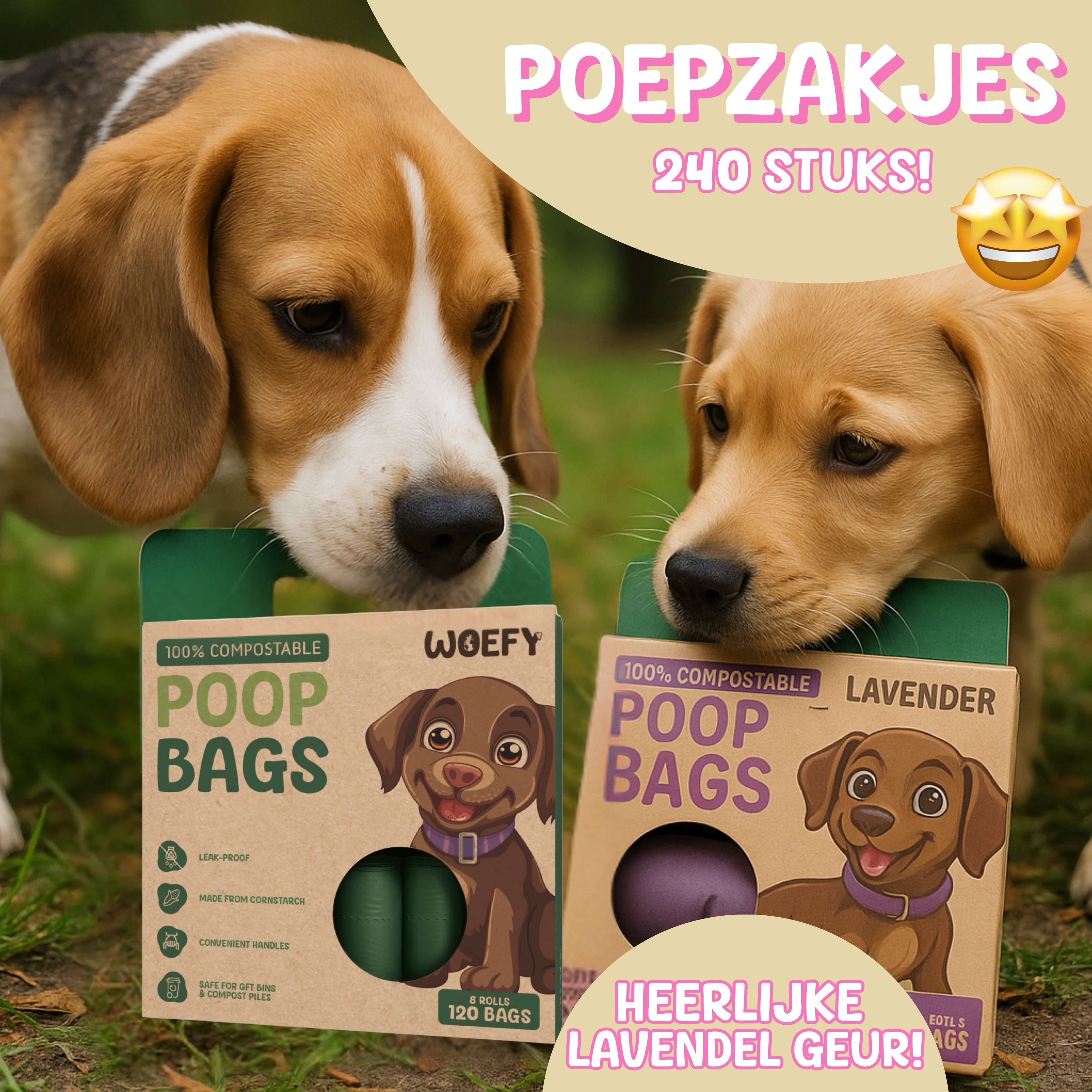 DIERENDAG HONDEN BOX